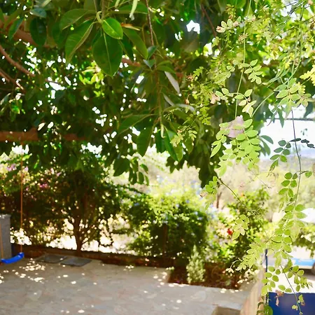 Miramar Gasthof Kaş